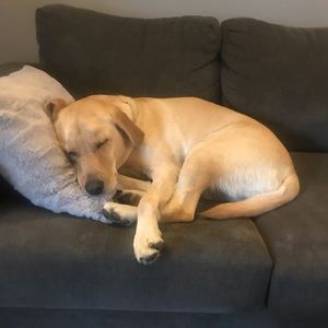 Meet your Posher, Jen